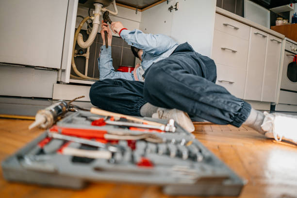Best Clogged Drain Plumber  in Dupont, WA
