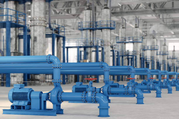 Best Local Plumber Services  in Dupont, WA